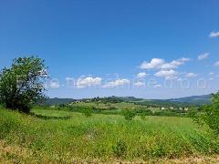 Nekretnina Motovun, Motovun